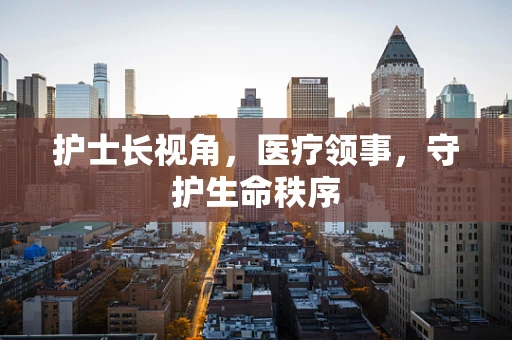 护士长视角，医疗领事，守护生命秩序