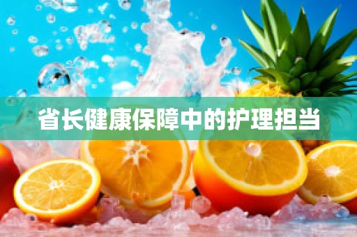省长健康保障中的护理担当