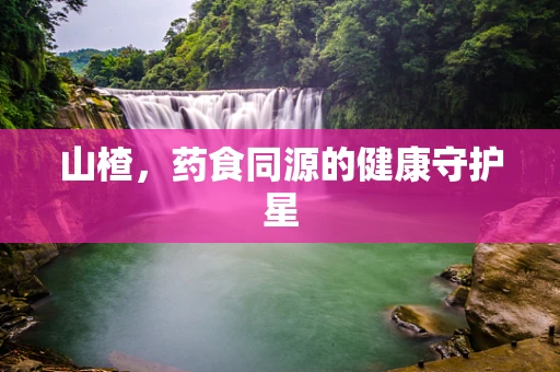 山楂，药食同源的健康守护星