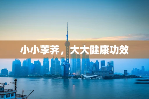 小小荸荠，大大健康功效