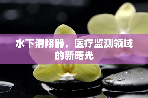 水下滑翔器，医疗监测领域的新曙光