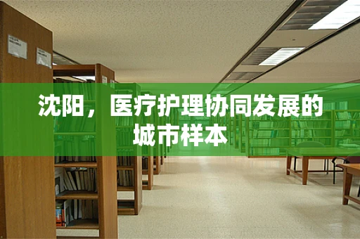 沈阳，医疗护理协同发展的城市样本