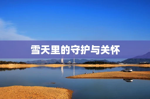 雪天里的守护与关怀