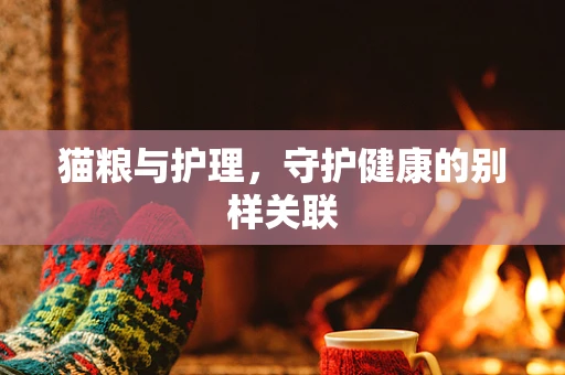猫粮与护理，守护健康的别样关联
