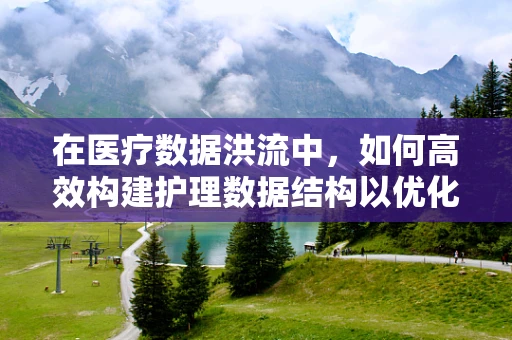 在医疗数据洪流中，如何高效构建护理数据结构以优化决策？
