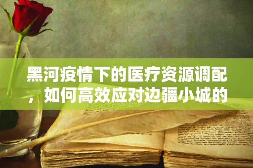 黑河疫情下的医疗资源调配，如何高效应对边疆小城的挑战？