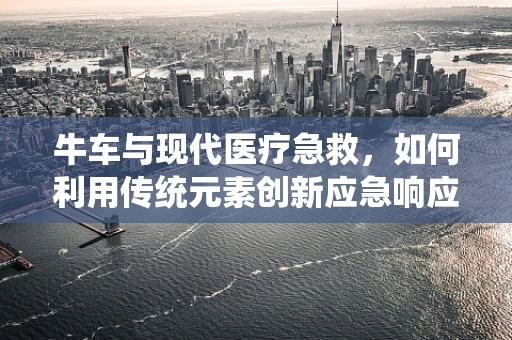 牛车与现代医疗急救，如何利用传统元素创新应急响应？