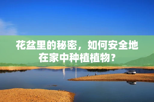 花盆里的秘密，如何安全地在家中种植植物？