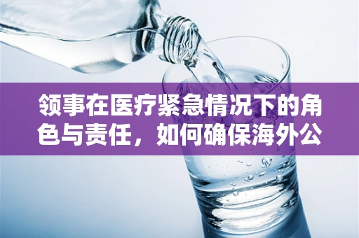 领事在医疗紧急情况下的角色与责任，如何确保海外公民的医疗安全？