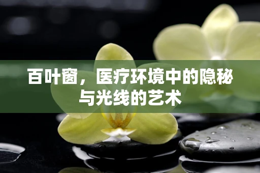 百叶窗，医疗环境中的隐秘与光线的艺术