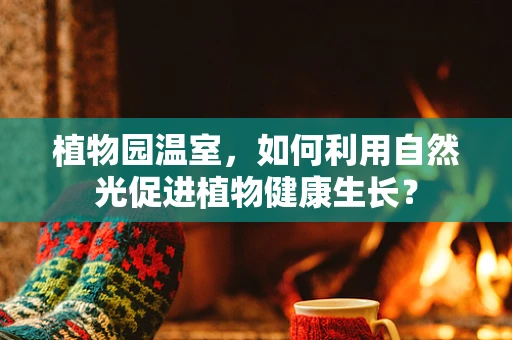 植物园温室，如何利用自然光促进植物健康生长？
