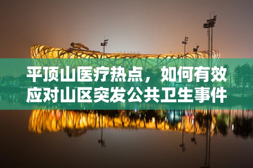 平顶山医疗热点，如何有效应对山区突发公共卫生事件的挑战？