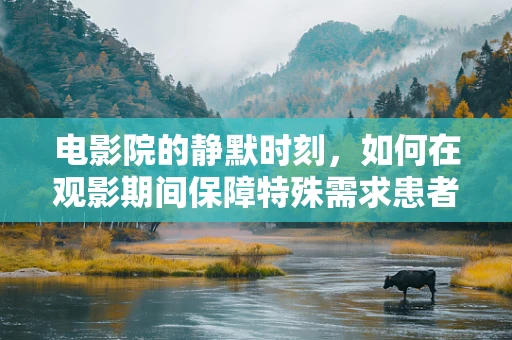 电影院的静默时刻，如何在观影期间保障特殊需求患者的安全？
