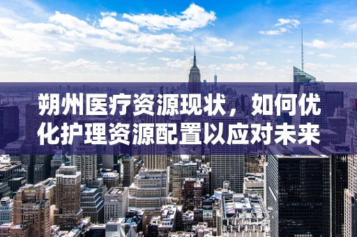 朔州医疗资源现状，如何优化护理资源配置以应对未来挑战？