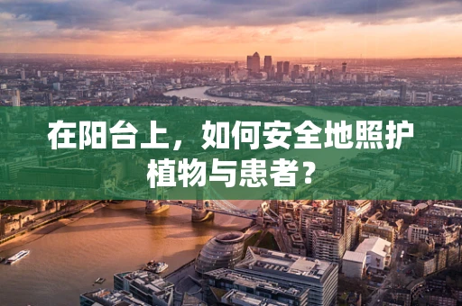 在阳台上，如何安全地照护植物与患者？