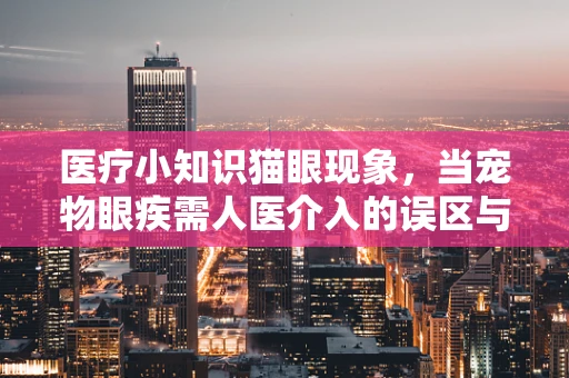 医疗小知识猫眼现象，当宠物眼疾需人医介入的误区与解析