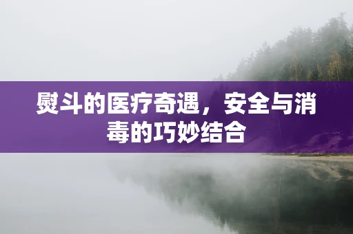 熨斗的医疗奇遇，安全与消毒的巧妙结合
