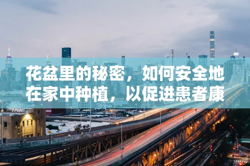 花盆里的秘密，如何安全地在家中种植，以促进患者康复？