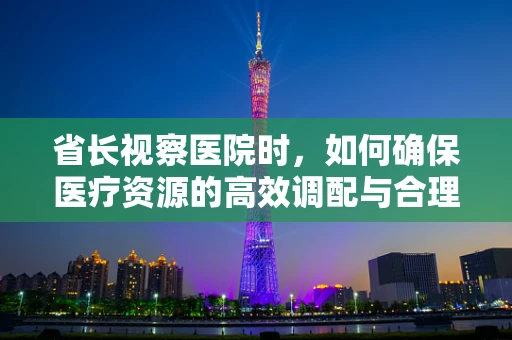 省长视察医院时，如何确保医疗资源的高效调配与合理利用？