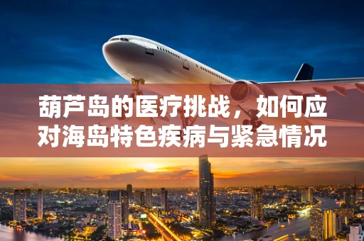 葫芦岛的医疗挑战，如何应对海岛特色疾病与紧急情况？