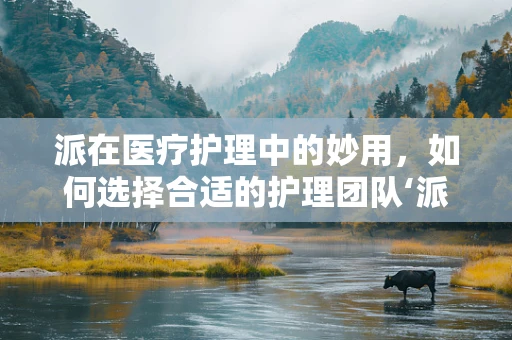 派在医疗护理中的妙用，如何选择合适的护理团队‘派’别？