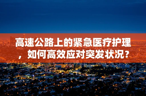 高速公路上的紧急医疗护理，如何高效应对突发状况？