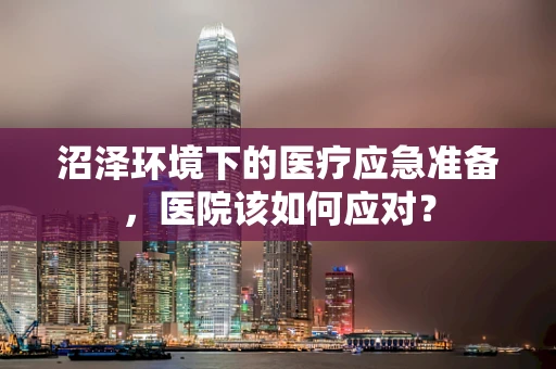 沼泽环境下的医疗应急准备，医院该如何应对？