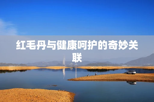 红毛丹与健康呵护的奇妙关联