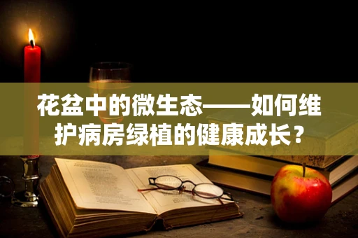 花盆中的微生态——如何维护病房绿植的健康成长？