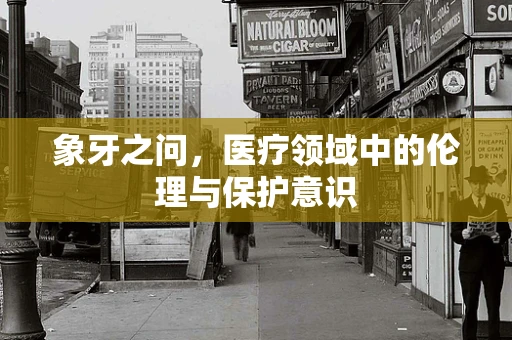 象牙之问，医疗领域中的伦理与保护意识