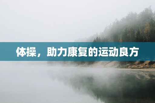 体操，助力康复的运动良方