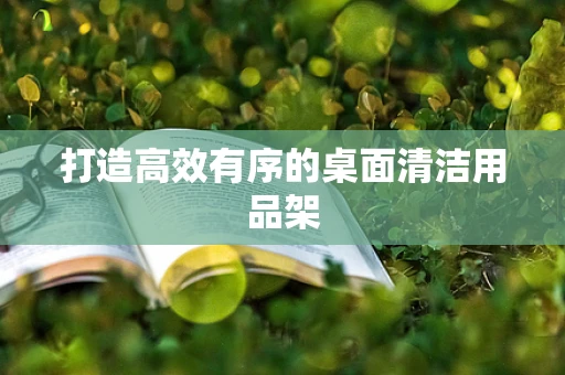 打造高效有序的桌面清洁用品架