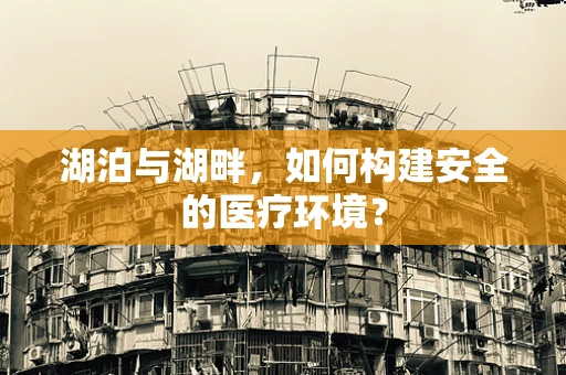 湖泊与湖畔，如何构建安全的医疗环境？