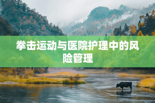 拳击运动与医院护理中的风险管理