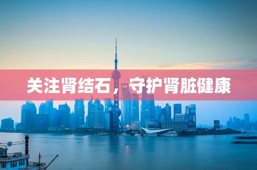 关注肾结石，守护肾脏健康
