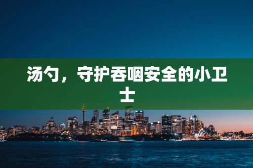 汤勺，守护吞咽安全的小卫士