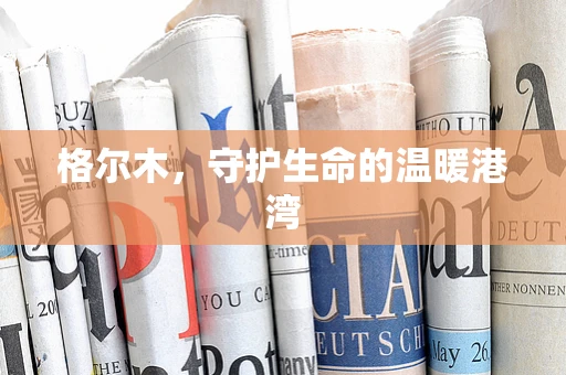 格尔木，守护生命的温暖港湾