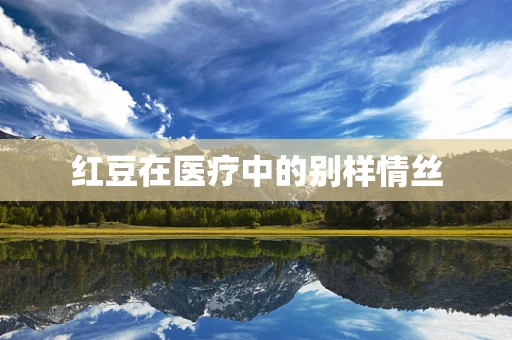 红豆在医疗中的别样情丝