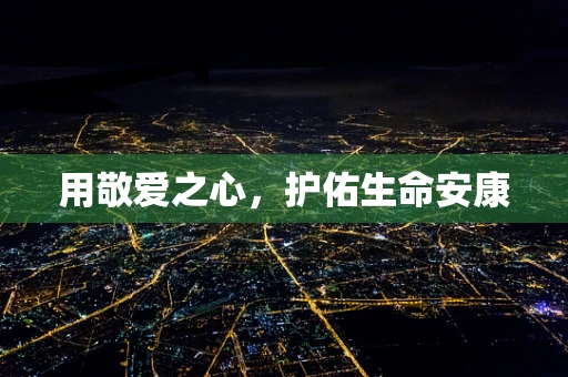 用敬爱之心，护佑生命安康