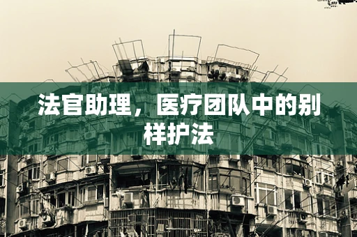 法官助理，医疗团队中的别样护法