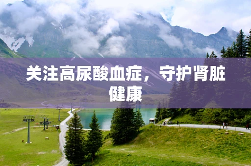 关注高尿酸血症，守护肾脏健康