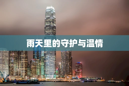 雨天里的守护与温情