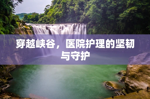 穿越峡谷，医院护理的坚韧与守护