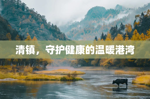 清镇，守护健康的温暖港湾