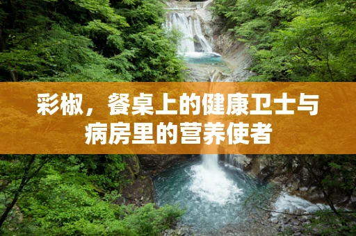 彩椒，餐桌上的健康卫士与病房里的营养使者