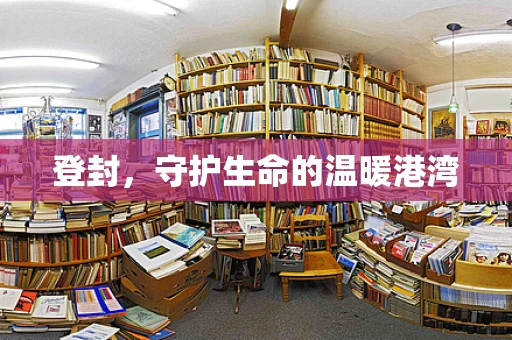 登封，守护生命的温暖港湾