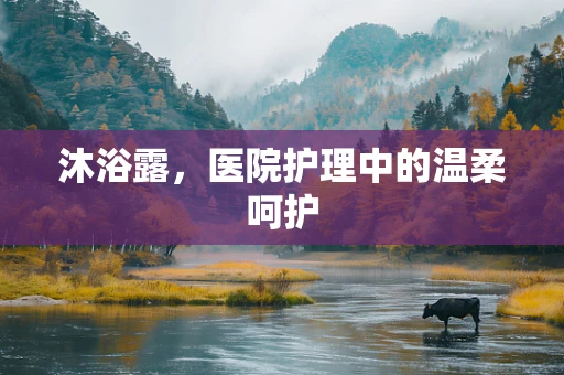 沐浴露，医院护理中的温柔呵护