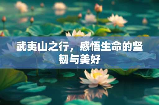 武夷山之行，感悟生命的坚韧与美好