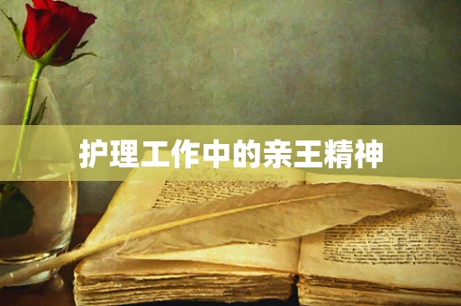 护理工作中的亲王精神