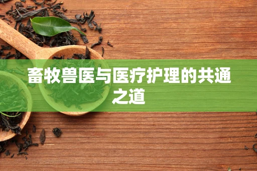 畜牧兽医与医疗护理的共通之道